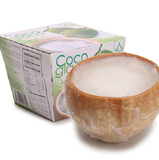 进口泰国椰子冻[2个装]顺丰国包邮可批发