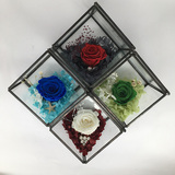 永生花玻璃罩生日礼物情人节礼盒保鲜花玫瑰