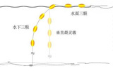 方便传统七星漂钓鱼线组套装