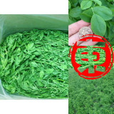 東微波有机烘干苜蓿草1kg 满百北京包邮