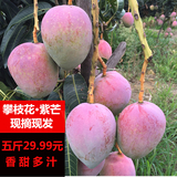 攀枝花新鲜芒果包邮苹果芒仅五斤仅24.99元