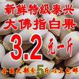 纯天然 新鲜特级 泰兴大佛指生白果  银杏果