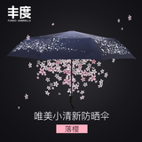 创意小清新樱花遮阳伞防紫外线黑胶晴雨伞女