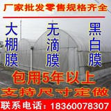 塑料布加厚薄膜 透明布 防雨布 大棚膜 包邮