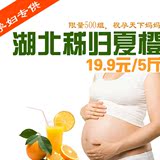 孕妇榨汁新鲜水果 秭归夏橙 酸甜 5斤包邮