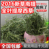 15年新南提 龙猫/兔子粮草 提摩西草500g