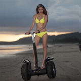 电动平衡车双轮越野思维车两轮体感车沙滩车