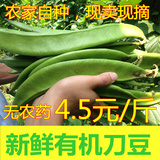 产地直销!绿色蔬菜  新鲜有机刀豆 500g