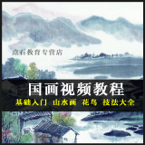 国画视频教程 自学/高清/零基础入门画花鸟/