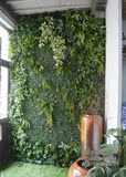 苏州仿真植物墙背景装饰花艺墙壁壁挂景观花