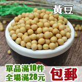 农家自种有机小黄豆发豆芽打豆浆非转基因