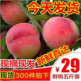 现摘新鲜桃子水果水蜜桃水果新鲜桃杏子5斤