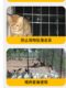 강철 와이어 메쉬 아연 도금 철 와이어 울타리 작은 구멍 쥐 방지 치킨과 오리 번식 그물 야외 격리 울타리 가드 레일 보호 녹 방지 강철 와이어 메쉬 아연 도금 철 와이어 울타리 작은 구멍 쥐 방지 치킨과 오리 번식 그물 야외 격리 울타리 가드 레일 보호 녹 방지