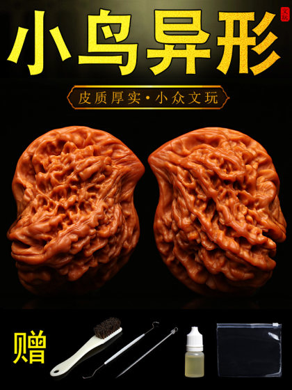 거친, 특이한 모양, 높은 던지기 새, 공식 모자, 변형 된 만다린 오리, 평화 비둘기, 틈새 손으로 플레이하는 작품 놀이의 웬완 호두 거친, 특이한 모양, 높은 던지기 새, 공식 모자, 변형 된 만다린 오리, 평화 비둘기, 틈새 손으로 플레이하는 작품 놀이의 웬완 호두