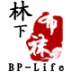 林下布袜