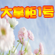 大掌柜1号