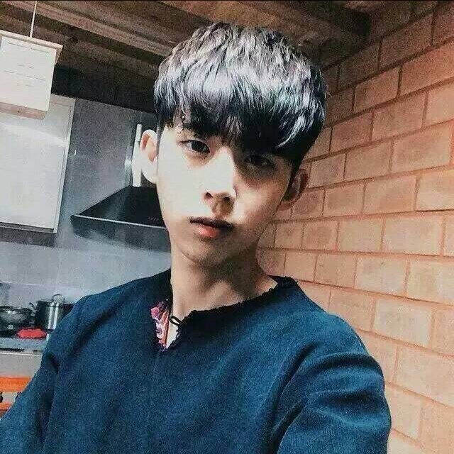 四季most treasure四季多肉植物种子小兔子碧光环种子肉种子 loves