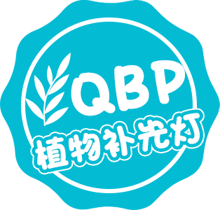 qbp灯具旗舰店