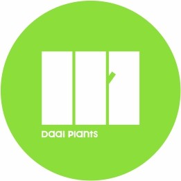 大艾绿植旗舰店