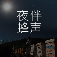 夜伴蜂声旗舰店