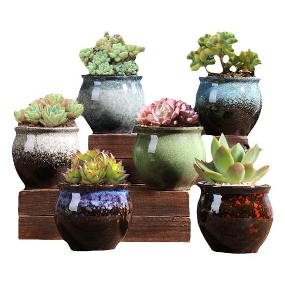 Poor Pot Basin Special Creative Pine Plant Flower Pot Gardening Clearance Clearance Simple retro office indoor ceramic pot Poor Pot Basin Special Creative Pine Plant Flower Pot Gardening Clearance Clearance Simple retro office indoor ceramic pot