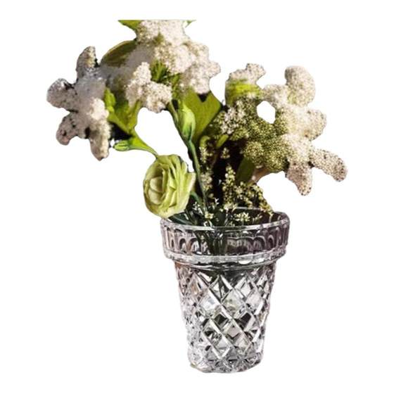 Thickened crystal embossed glass vase light luxury transparent home desktop flowers succulent plants flower pot flower arrangement decoration
Thickened crystal embossed glass vase light luxury transparent home desktop flowers succulent plants flower pot flower arrangement decoration
