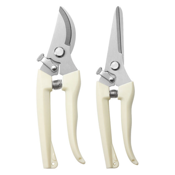 Gardening, pruning, flower cuts, garden scissors, floral cuttings, branches, fruit tree scissors, branch scissors, pruning flowers scissors, Gardening, pruning, flower cuts, garden scissors, floral cuttings, branches, fruit tree scissors, branch scissors, pruning flowers scissors,