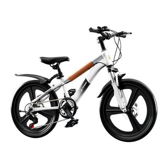 Phoenix Children's Bicycle 6-15 Years Old Boy Medium-Girl Mountain Disc Brake Speed Transmission Bicycle Primary School Student Gift
Phoenix Children's Bicycle 6-15 Years Old Boy Medium-Girl Mountain Disc Brake Speed Transmission Bicycle Primary School Student Gift