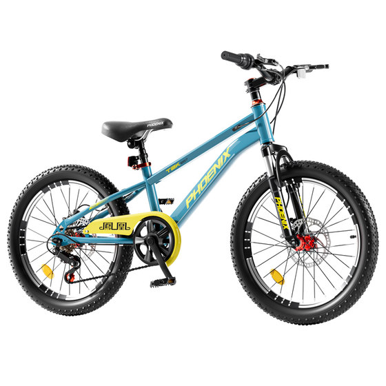 2025 new Phoenix Children's Bicycle 6-10-8 to 12-year-old boys and girls special mountain bikes for primary school students
2025 new Phoenix Children's Bicycle 6-10-8 to 12-year-old boys and girls special mountain bikes for primary school students