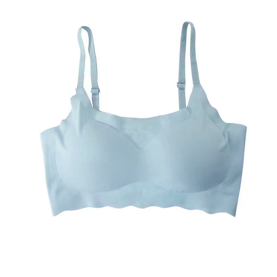 2025 traceless underwear for women with small breasts gathered thin steel ring-free vest style student girl sports bra missing one 2025 traceless underwear for women with small breasts gathered thin steel ring-free vest style student girl sports bra missing one