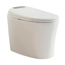 Emperor Sanitary Ware Light Smart Toilet Small Household Antibacterial Semi-Smart Toilet Home Constant Temperature No Water Pressure Limitation