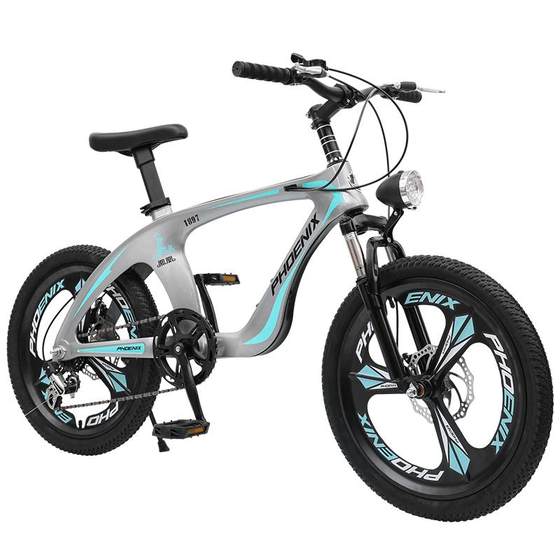 Phoenix Magnesium Alloy Children's Bicycle Boys and Girls 18/20-inch Medium-sized Children 8-10-14 Years Old Primary School Student Mountain Bike
Phoenix Magnesium Alloy Children's Bicycle Boys and Girls 18/20-inch Medium-sized Children 8-10-14 Years Old Primary School Student Mountain Bike