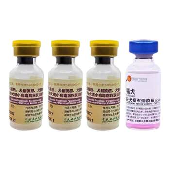 Xundi Dog Vaccine Quadruple Prevention for Dog Distemper, Parvorabies, Golden Retriever Teddy Puppies, ຊຸດຫມາຜູ້ໃຫຍ່