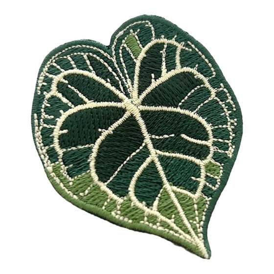 Tropical plant embroidery brooch Monstera Personalized flower pot decoration ornament birthday gift original handmade badge
Tropical plant embroidery brooch Monstera Personalized flower pot decoration ornament birthday gift original handmade badge