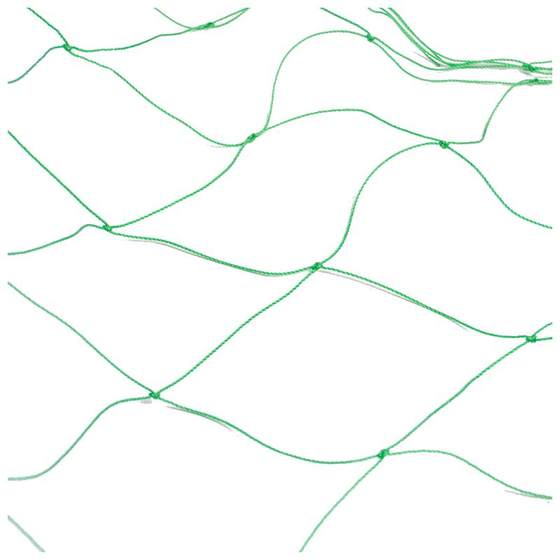 Climbing Goto Household Gardening Court Plant Cucumber Lilgies Passion Fruit Morning Flower Morning Flower Iron Lotus Small Lotus Snor Climbing Net Climbing Goto Household Gardening Court Plant Cucumber Lilgies Passion Fruit Morning Flower Morning Flower Iron Lotus Small Lotus Snor Climbing Net