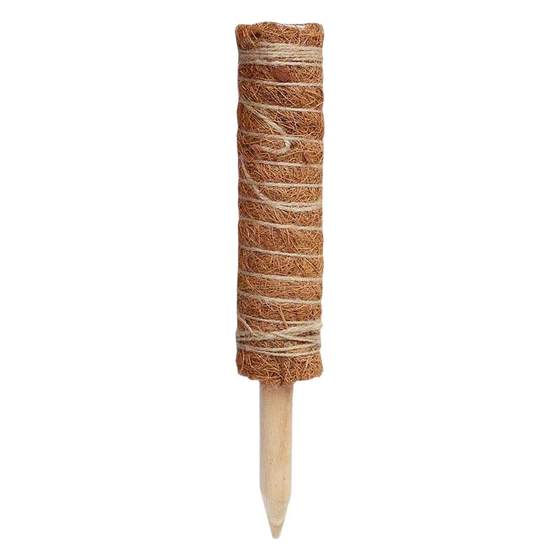 Monstera support pole frame Green ivy coconut palm stick climbing pole sap moss palm column stick plant fixing artifact shape
Monstera support pole frame Green ivy coconut palm stick climbing pole sap moss palm column stick plant fixing artifact shape