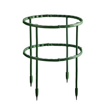 Crab claw orchid bracket climbing pergola protection gardening monstera climbing protection flower orchid green plant support flower stand pothos ທາດເຫຼັກ