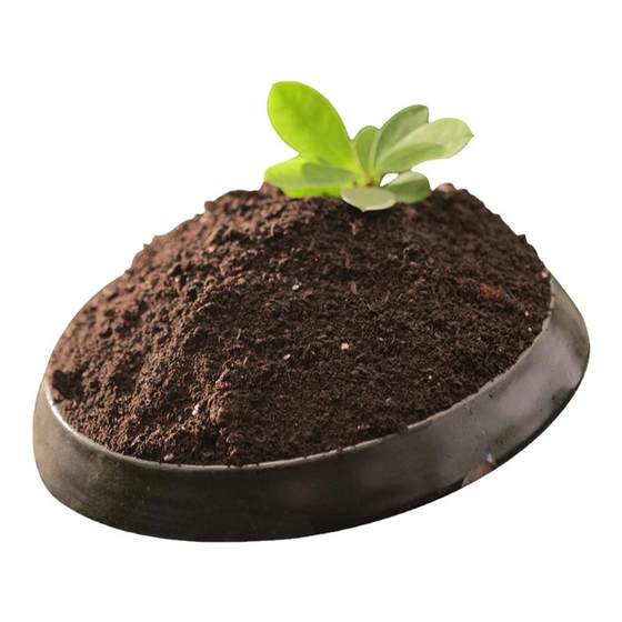 Special soil for vegetable planting, universal succulent green radish rose potted planting organic soil household gardening nutritional fertilizer
Special soil for vegetable planting, universal succulent green radish rose potted planting organic soil household gardening nutritional fertilizer