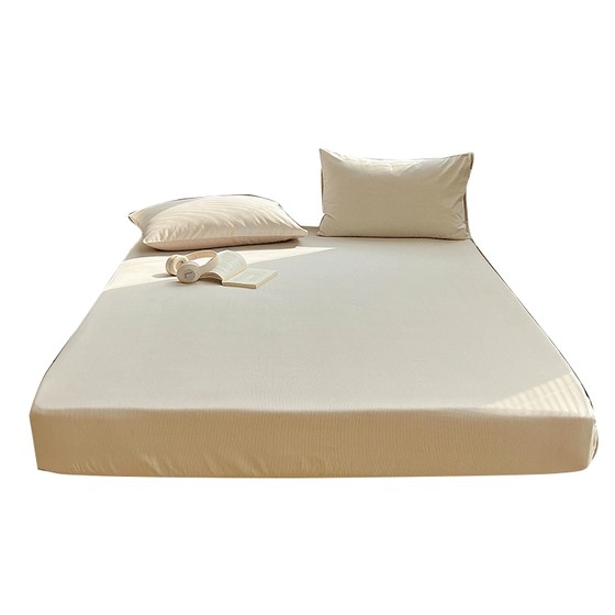 2024 new pure cotton thickened furry cover single piece Class A 100 cotton cover mattress anti-slip dust protection cover
2024 new pure cotton thickened furry cover single piece Class A 100 cotton cover mattress anti-slip dust protection cover
