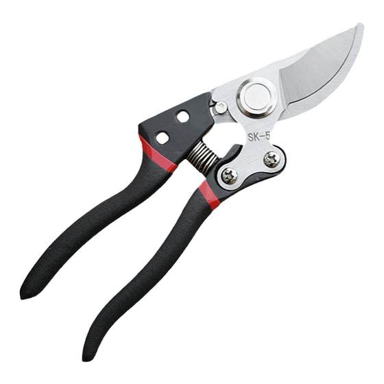 Shop, scissors, gardening, branches, fruit, tree fruit branches, cut flowers, gardening, gardening art, powerful and thick branches, scissors Shop, scissors, gardening, branches, fruit, tree fruit branches, cut flowers, gardening, gardening art, powerful and thick branches, scissors