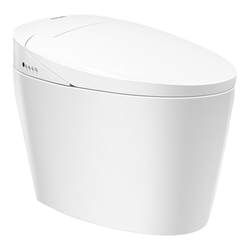 Philips Home Smart Toilet Fully Automatic Sensing Leaving Seat Flush Instant Hot Antibacterial Toilet AIB6307