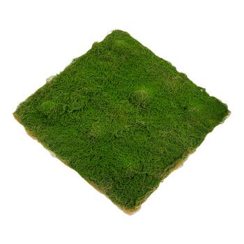 Simulated moss moss diy ປອມ moss lawn turf fake moss ສີຂຽວພືດຕົກແຕ່ງພູມສັນຖານ bonsai paving