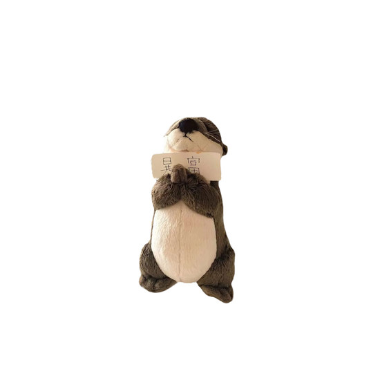 Postgraduate entrance examination wish to close eyes little otter doll plush toy girl doll birthday gift for girls graduation
Postgraduate entrance examination wish to close eyes little otter doll plush toy girl doll birthday gift for girls graduation