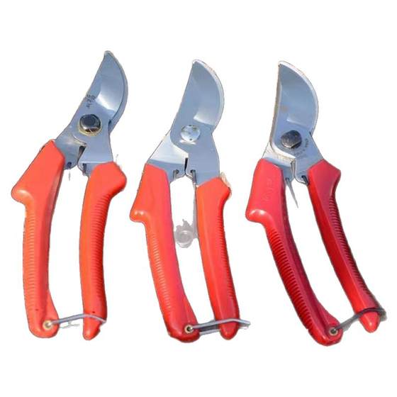 Gardening branches cutting gardening tool Scissors scissors scissors Spring fruit cutting garden scissors scissors and cut flowers
Gardening branches cutting gardening tool Scissors scissors scissors Spring fruit cutting garden scissors scissors and cut flowers