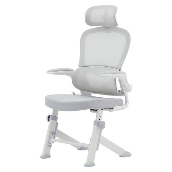 Eight or Nine Y5F Learning Chairs Young Middle School Student Ergonomic Writing Special Office Desk Computer Chair Eight or Nine Y5F Learning Chairs Young Middle School Student Ergonomic Writing Special Office Desk Computer Chair