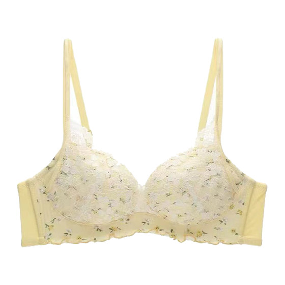Sunset petals, small red floral underwear, women gathered together to show breasts, no steel rings, anti-sagging bra, women's bra
Sunset petals, small red floral underwear, women gathered together to show breasts, no steel rings, anti-sagging bra, women's bra
