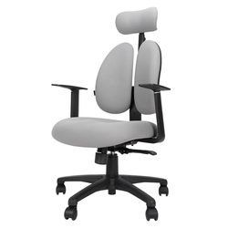 Puglius 08BH ergonomic chair home desk seat double back waist protection gaming chair computer office chair