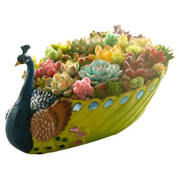 ການຂົນສົ່ງຟຣີ peacock ຂະຫນາດໃຫຍ່ succulent flowerpot resin ສ້າງສັນບຸກຄະລິກກະພາບຫນ້າຮັກ platter succulent ພືດ potted ເຄື່ອງຕົກແຕ່ງເຮືອນ
