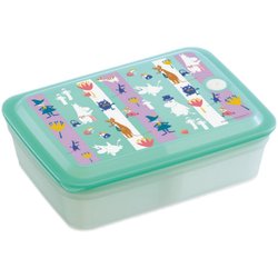 Japan buys back skater cartoon plastic microwave antibacterial large-capacity work and school lunch box Moomin Totoro