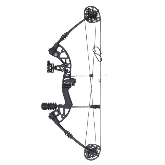 SPG Dragon Claw X8 Both use composite bow and arrow adult outdoor archery novice entry -level professional high -precision roller bow bow SPG Dragon Claw X8 Both use composite bow and arrow adult outdoor archery novice entry -level professional high -precision roller bow bow